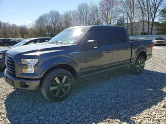 2016 Ford F-150 1FTEW1EG7GFA53074 Lot 51120256