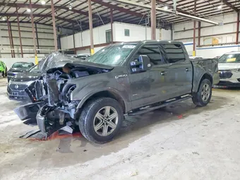 2017 Ford F-150 1FTEW1EG3HFA74053 Lot 54021416