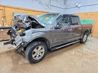 2016 Ford F-150 1FTEW1EP0GFD53202 Lot 51639646