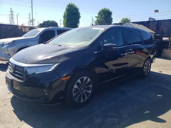 2021 Honda Odyssey 5FNRL6H75MB032680 Lot 58316976