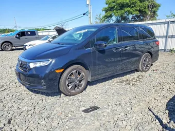 2024 Honda Odyssey 5FNRL6H94RB029942 Lot 57184926