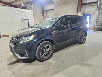 2020 Honda CR-V 2HKRW2H8XLH658167 Lot 55760176