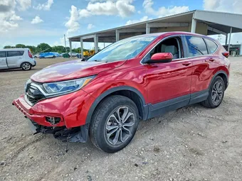 2020 Honda CR-V 5J6RW1H5XLL003464 Lot 56235336