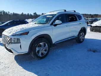 2022 Hyundai Santa Fe 5NMS2DAJ3NH446295 Lot 73910605