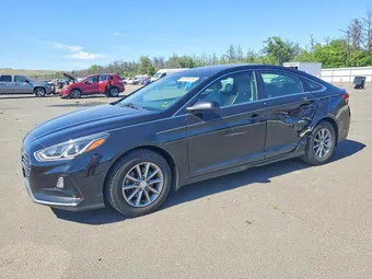 2019 Hyundai Sonata 5NPE24AF6KH813861 Lot 56762456