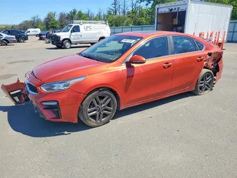 2019 Kia Forte 3KPF54AD7KE084865 Lot 56681346