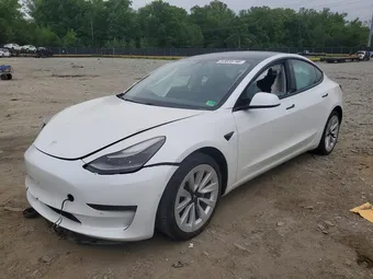 2021 Tesla Model 3 5YJ3E1EA9MF977828 Lot 53835746