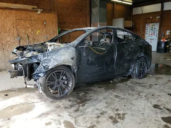 2024 Tesla Model Y 7SAYGDEE9RA318787 Lot 54437216