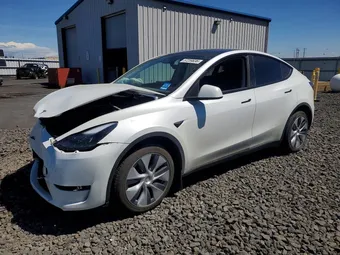2023 Tesla Model Y 7SAYGDEEXPF842501 Lot 57259836