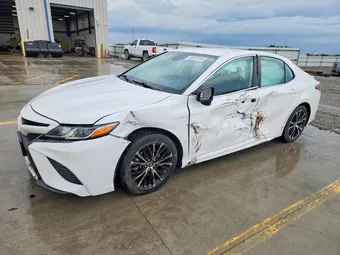 2019 Toyota Camry 4T1B11HK4KU203398 Lot 52507406