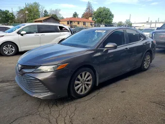 2019 Toyota Camry 4T1B11HKXKU703968 Lot 58117246