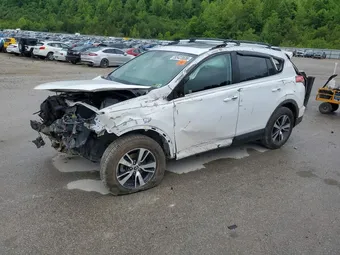 2016 Toyota RAV4 2T3RFREV3GW535649 Lot 53423536