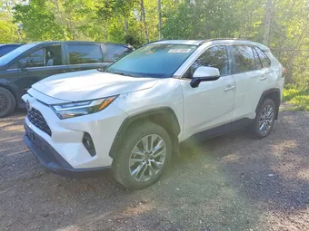 2024 Toyota RAV4 2T3R1RFV2RW456750 Lot 55821856