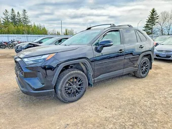 2023 Toyota RAV4 2T3RWRFV9PW158954 Lot 53304976
