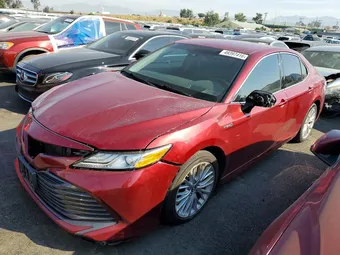 2019 Toyota Camry 4T1B21HK0KU513478 Lot 49397416