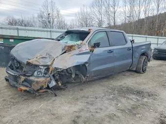 2021 Chevrolet Silverado 1500 3GCPYFED6MG407134 Lot 73271015