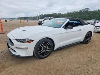 2019 Ford Mustang 1FATP8UHXK5181689 Lot 51040226