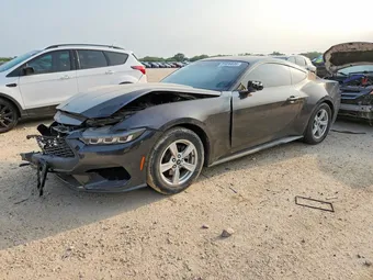 2024 Ford Mustang 1FA6P8TH3R5113971 Lot 51836636