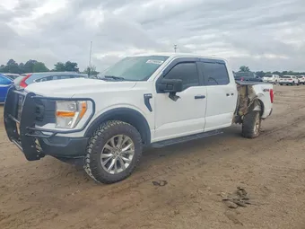 2021 Ford F-150 1FTEW1EBXMFB81003 Lot 52290056