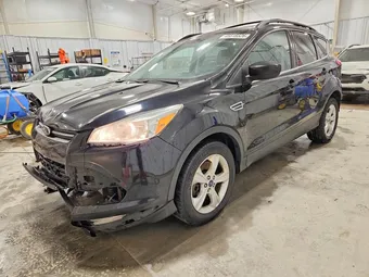 2016 Ford Escape 1FMCU0G94GUA24094 Lot 45518526