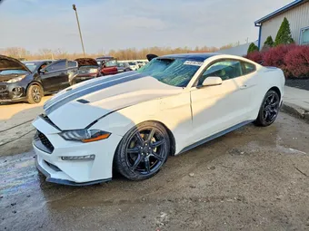 2019 Ford Mustang 1FA6P8TH8K5194293