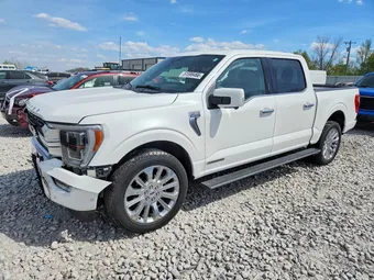 2023 Ford F-150 1FTFW1ED6PFB49191 Lot 51599466