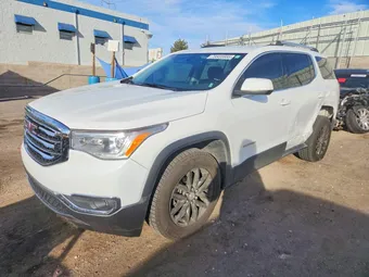 2019 GMC Acadia 1GKKNULS5KZ243997 Lot 79935955