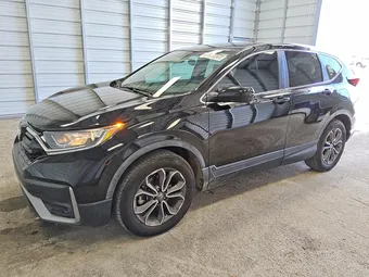 2020 Honda CR-V 7FARW1H51LE023065 Lot 56608836