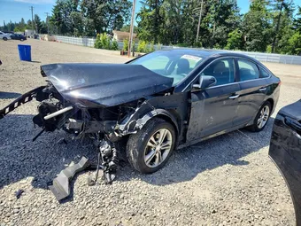 2019 Hyundai Sonata 5NPE34AF4KH769257 Lot 56947316