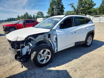 2024 Hyundai Tucson 5NMJBCDE6RH337811 Lot 58676206