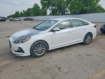 2019 Hyundai Sonata 5NPE24AF5KH768914 Lot 54533596