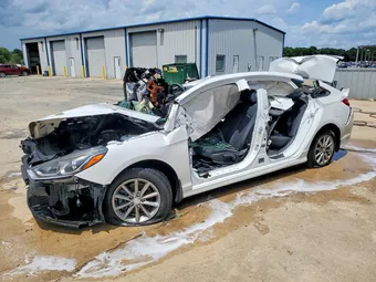 2019 Hyundai Sonata 5NPE24AF3KH770144 Lot 60471376