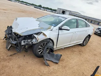 2019 Hyundai Sonata 5NPE24AF3KH737905 Lot 52497556