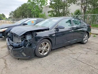 2019 Hyundai Sonata 5NPE34AF3KH731955 Lot 53874816