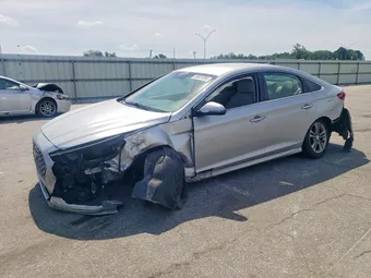 2019 Hyundai Sonata 5NPE34AF0KH735994 Lot 49631856