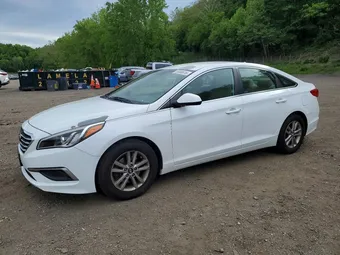 2017 Hyundai Sonata 5NPE24AA7HH456526 Lot 55008816