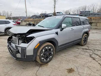 2025 Hyundai Santa Fe 5NMP1DGL4SH148495 Lot 46023336