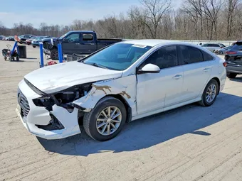 2019 Hyundai Sonata 5NPE24AF5KH814922 Lot 49096886
