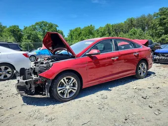 2019 Hyundai Sonata 5NPE34AF1KH750147 Lot 55448136
