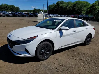 2023 Hyundai Elantra 5NPLM4AG4PH104900 Lot 57753976