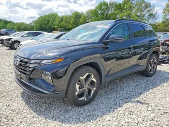 2024 Hyundai Tucson KM8JCCD18RU229592 Lot 53761036