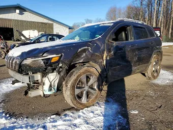 2019 Jeep Cherokee 1C4PJMDX7KD135207 Lot 73217775