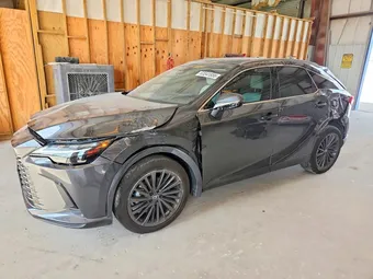 2025 Lexus RX 2T2BAMBA1SC053927 Lot 63341856