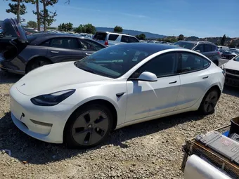 2021 Tesla Model 3 5YJ3E1EA3MF095733 Lot 55595786