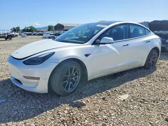2023 Tesla Model 3 5YJ3E1EA9PF403024 Lot 48480646