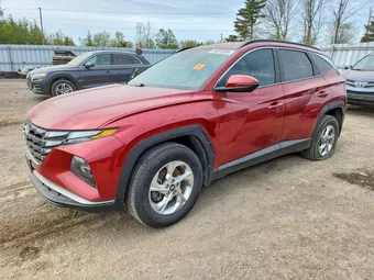 2023 Hyundai Tucson KM8JBCAE3PU250423 Lot 54072286