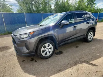 2020 Toyota RAV4 2T3B1RFV4LW091206 Lot 58384186