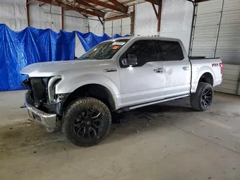 2015 Ford F-150 1FTEW1EF8FFA33339 Lot 53455846