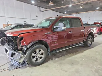 2016 Ford F-150 1FTEW1EG3GKF94551 Lot 55372316