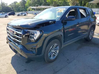 2025 GMC Terrain 3GKALUEG9SL187774 Lot 53390136